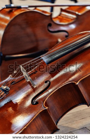 Classical instruments in a symphony orchestra