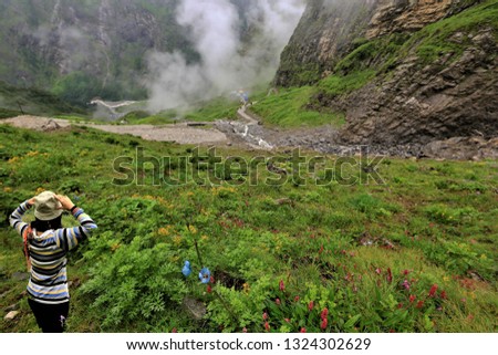 The woman on the top of the mountain covered with mist and flowers stands to admire the panoramic view of the cold valley,Woman tourist breathtaking view amazing nature healthy lifestyle,valley of flo