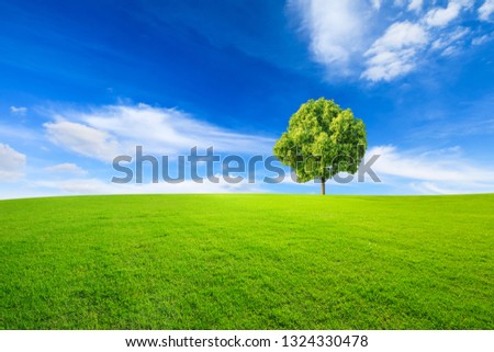 Green tree and grass field with white clouds