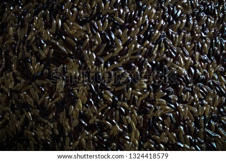 Black rice background