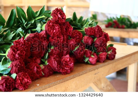Old Faithful Peonies on Wooden Table for Packing
