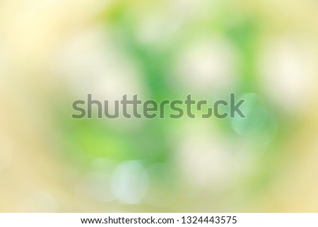 Beautiful abstract green blurred and light on natural background. Soft bokeh. Free space for any text design. Feel fresh. Can be use for brochure, web, advertising. 