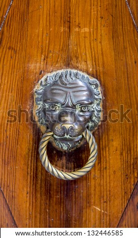 Decorative Gilded Lion Head Door Knob Lion Head Brass Door