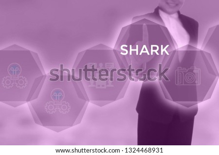 SHARK - technology and business concept