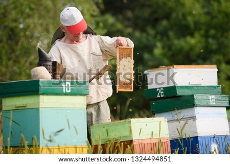 The beekeeper collects honey in the hives