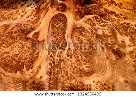 Nature burl wood striped for Picture prints interior decoration car, Exotic wooden beautiful pattern for crafts or abstract art background texture