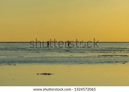sunset and paddle in Tahiti