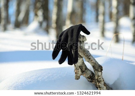 one lost black glove hangs on a tree branch in a winter forest