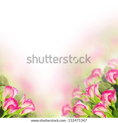 Pink roses Royalty-Free Stock Photo #132471347