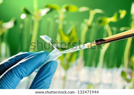 Scientist examining samples with plants Royalty-Free Stock Photo #132471944