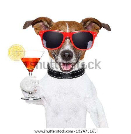funny cocktail dog holding a martini glass