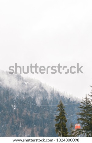 Mysterious clouds in the mountains. Coniferous forest on the different plans of the picture. Fog on top.