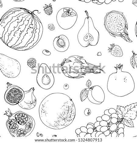 Fruits. Fresh food. Watermelon, cantaloupe, pomegranate, apricot, persimmon, pineapple, avocado, papaya, apricot, mango, grape, pitahaya line drawn on a white background. Vector pattern. 