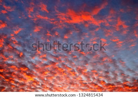Stunning deep red and orange sunset skies taken in northern germany