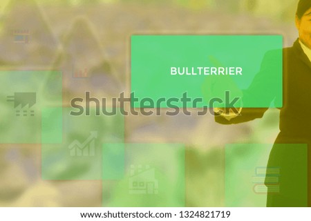 BULLTERRIER - technology and business concept