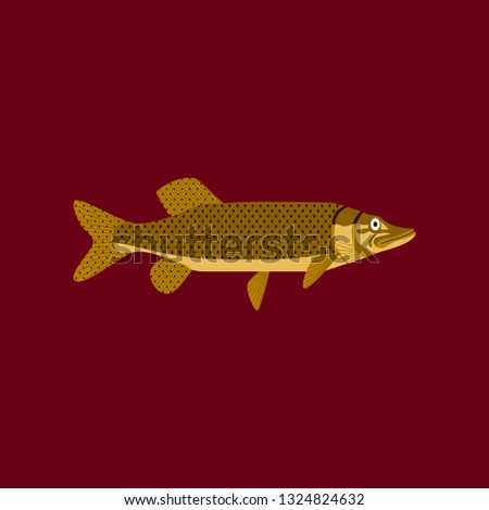 Vector illustration in flat style pike
