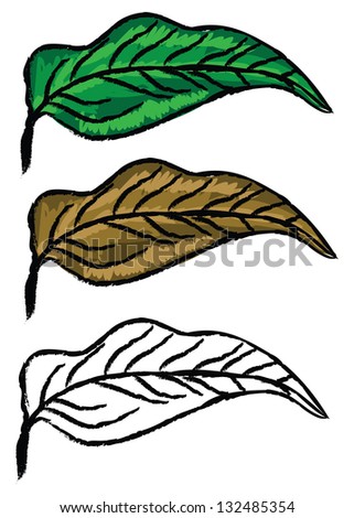 Three hand drawn leaves green, yellow and in black and white color.