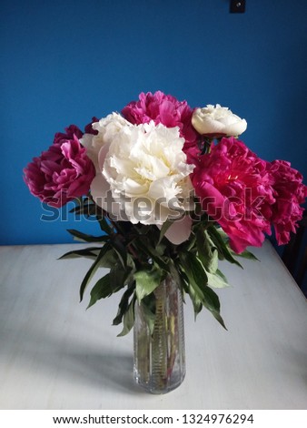 Bouquet of pink and white peonies in a vase on the table
