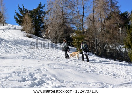 the girls walking on the snow with the dog, towards the top
