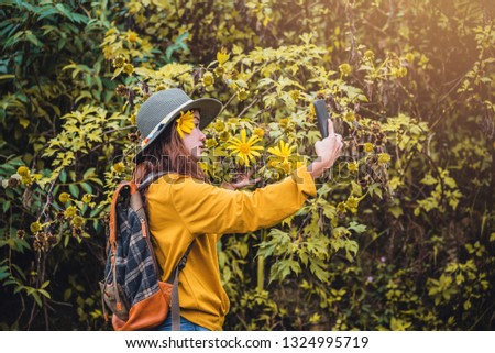 A girl with a backpack is using the phone to take selfie a picture of the Bua Tong flower yellow. "Mexican sunflower"