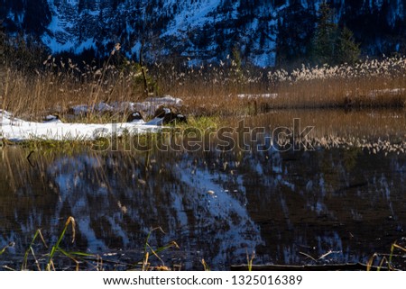 beautiful lake in austria Europe during winter season, lake with snow an mountains, winter landscape in the Austrian alps, amazing nature of austria in winter