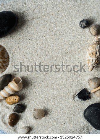 summer background, seashells on sand . Sea summer vacation background. Copy space