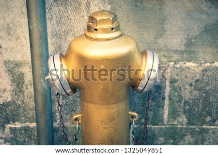 Golden Hydrant from Constance on Lake Constance in Germany