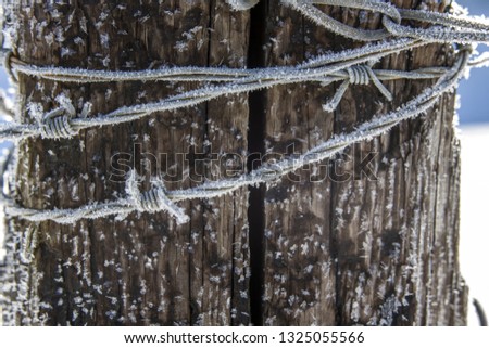 A macro photo of hoar frost on barbed wire near Coeur d'Alene, Idaho.