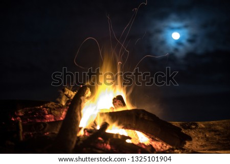 Calm fire on the beach under moon light