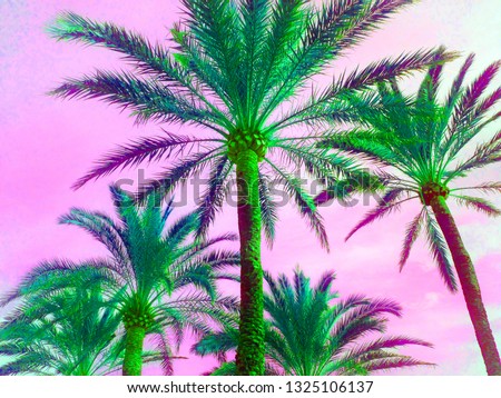 tropical palm tree in retro neon 80's summer vibe saturated in bright pink and ufo green exotic  trend  pop art stock, photo, photograph, picture, image, 