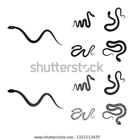 Vector design of mammal and danger icon. Collection of mammal and medicine vector icon for stock.