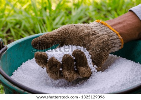 Chemical fertilizer in the hand of farmer and his hand wearing glove that are black and dirty. Concept of this picture is life and chemical.