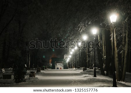 snow-covered alley of the city Park in the night in winter, a long deserted road after a snowstorm goes to the horizon without a single person
