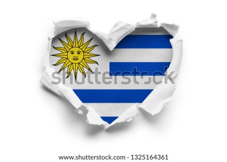 Heart shaped hole torn through paper, showing satin texture of flag of Uruguay. Isolated on white background