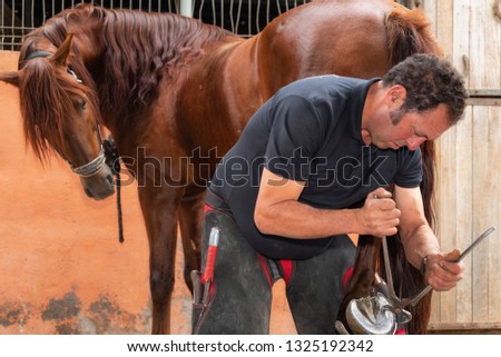 Farrier at work trimming the horses hoof . Royalty-Free Stock Photo #1325192342