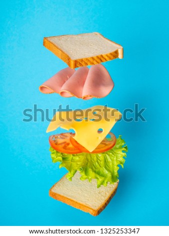 Floating tasty Sandwich on blue backround