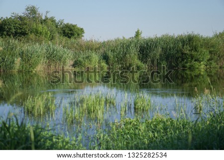 Pretty river in rural areas. European landscape of Russia and Siberia. Beautiful tranquil view of nature. Stock background, photo.