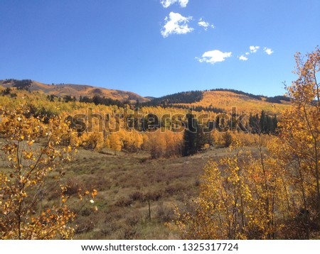 Autumn Aspen Hills