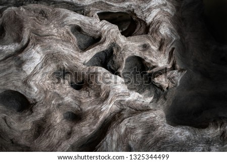 Abstract texture and background of weathered tree plank.