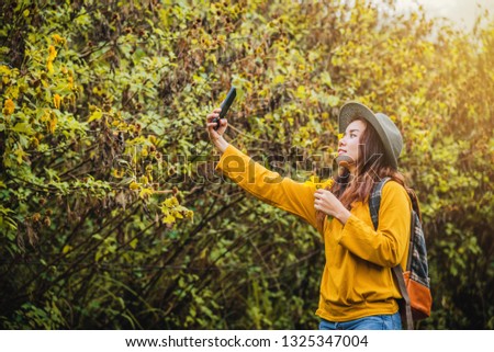 A girl with a backpack is using the phone to take selfie a picture of the Bua Tong flower yellow. "Mexican sunflower"