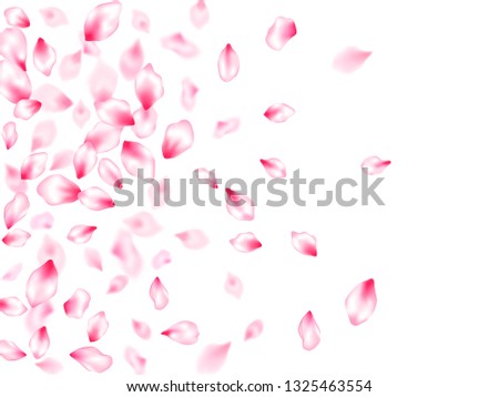 Japanese cherry blossom pink flying petals windy blowing background. Park graphic elements. Spring or summer light flower petals illustration. Isolated flower parts wedding decoration vector.