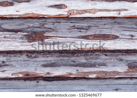 Background image. Old tree. Wooden wall. Vintage texture. Background for a postcard. natural picture.