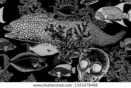 Underwater world. Seamless pattern kitchen design. Coral decorative fish, corals and human skull. Illustration of seabed. Ocean floor. Vector. Vintage engraving. Black and white. Hand Sketch