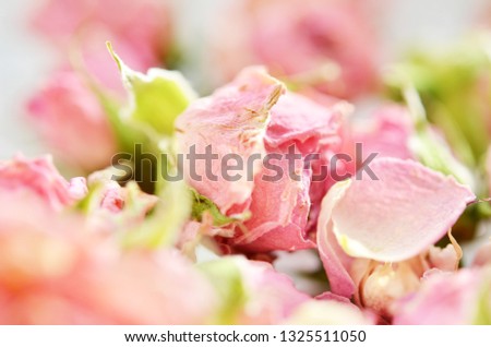  Dried rose flowers on white background. Macro photography
