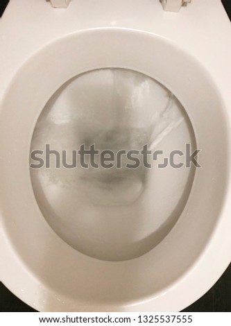 toilet in bathroom