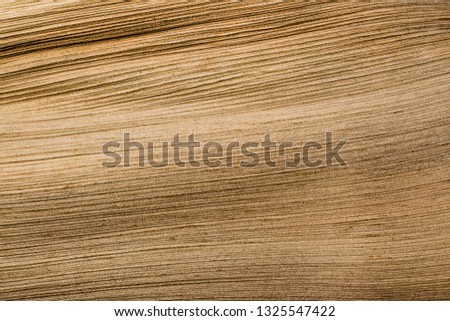 Wood texture with twisted shapes.Detail of palm leaf texture background Dried sugar palm leaf background.