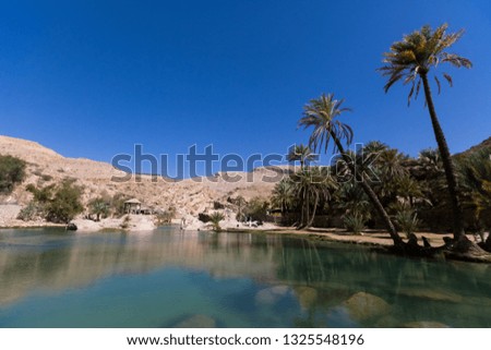 Beautiful Wadi Bani Khalid, A True Heaven on Earth in Oman (Oasis in Oman)