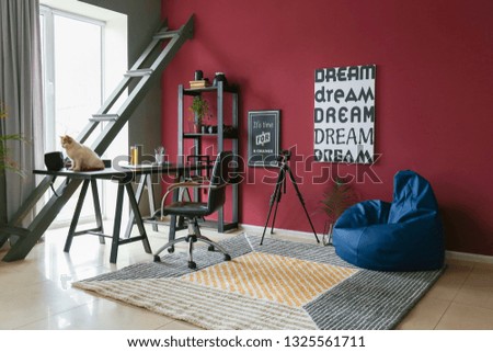 Stylish interior of home photo studio with cute cat sitting on table