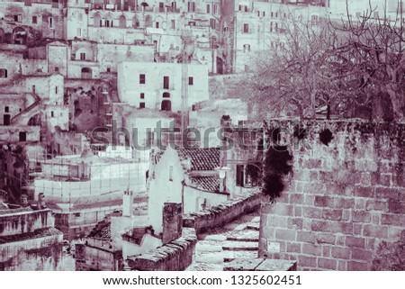 Matera city of culture, buildings and tree