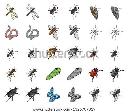 Different kinds of insects cartoon,monochrom icons in set collection for design. Insect arthropod vector isometric symbol stock web illustration.